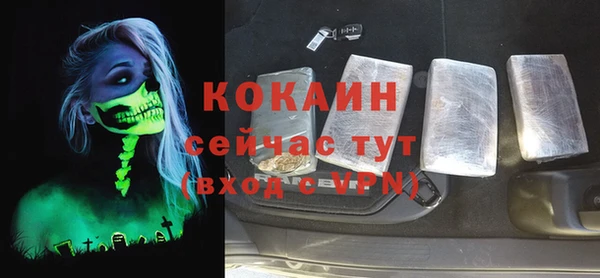 винт Абаза