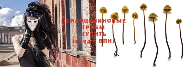 а пвп мука Алзамай