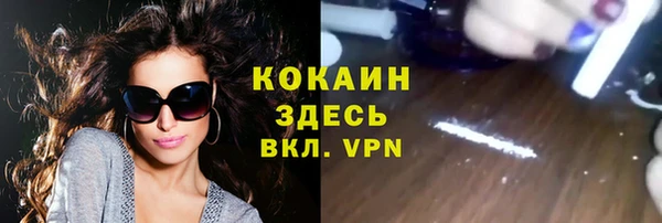 винт Абаза
