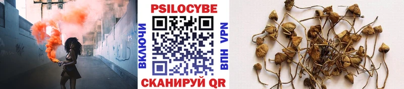 Галлюциногенные грибы Psilocybine cubensis  наркотики  Мамадыш 